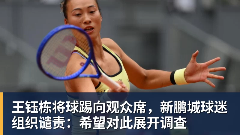 王钰栋将球踢向观众席，新鹏城球迷组织谴责：希望对此展开调查